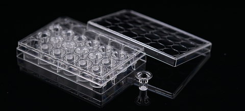 12 Nested Inserts + 24-well Plate, TC Treated, 0.4 um Pore Size